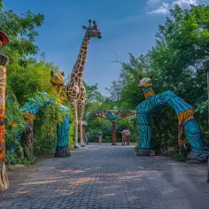 Kralove Zoo: Przewodnik po atrakcjach i ciekawych miejscach